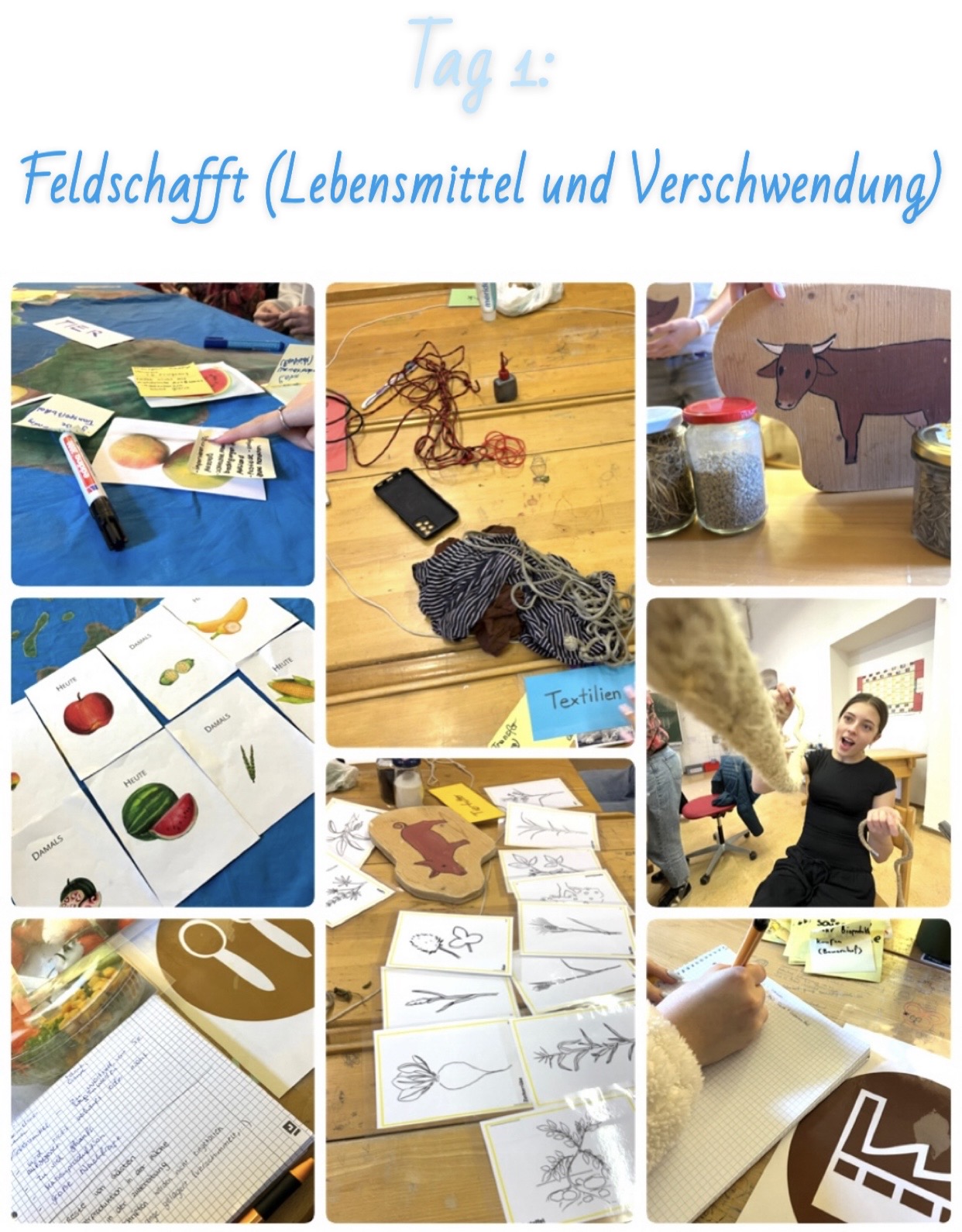 Lebensmittel Verschwendung 7a